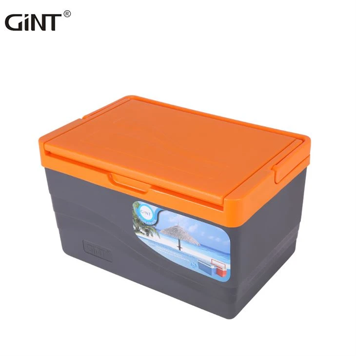 Picnic BBQ 5L 11L Ice Chest Cooler Box