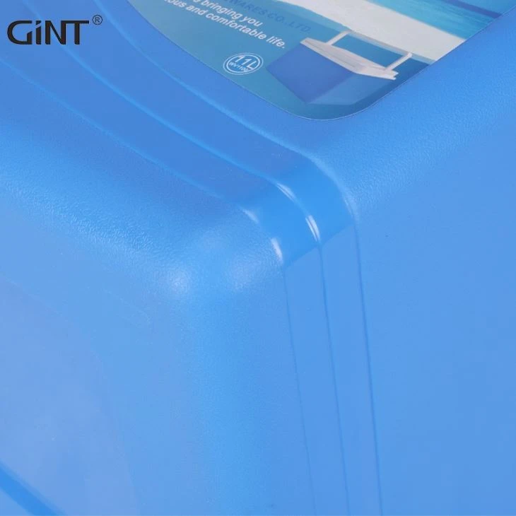 Plastic Custom Ice Cooler