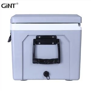 Thauj Ice Cooler Rau Khoom Noj Khoom Haus Cia