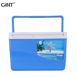 Insulated Easy Carry Plastic Cooler Box Rau Nuv ntses