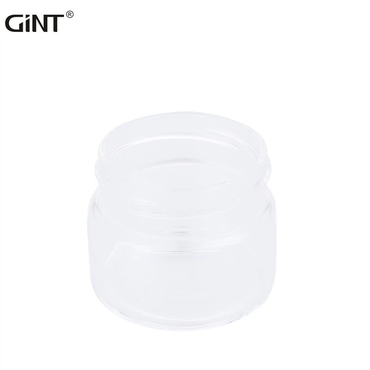 GiNT BPA Free Borosilicate Glass Water Bottle