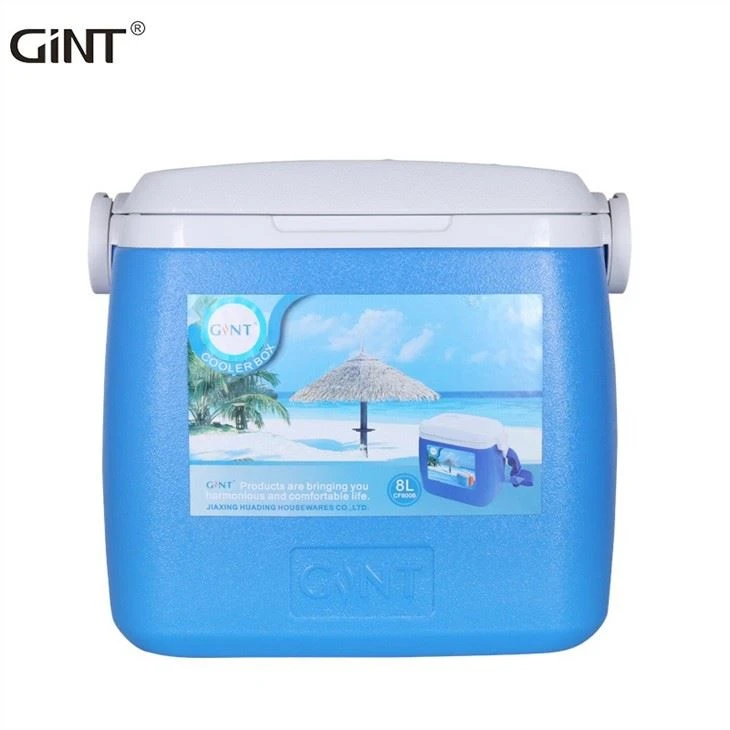 New Design Mini Insulated Portable Vaccine Insulin Ice Cooler Beach Box